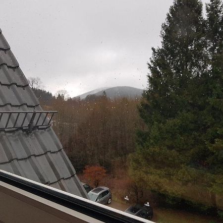 Fewo Allegra Goslar Buitenkant foto