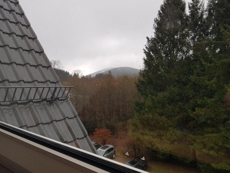 Fewo Allegra Goslar Buitenkant foto